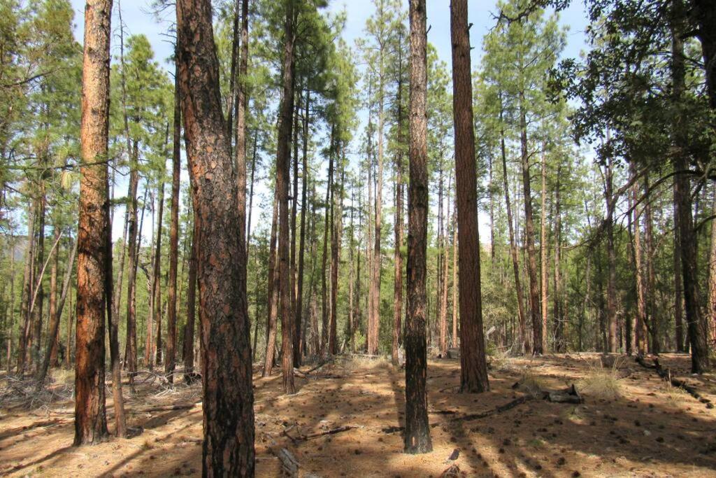 Forest Cabin 2 Birds Nest Payson Bagian luar foto