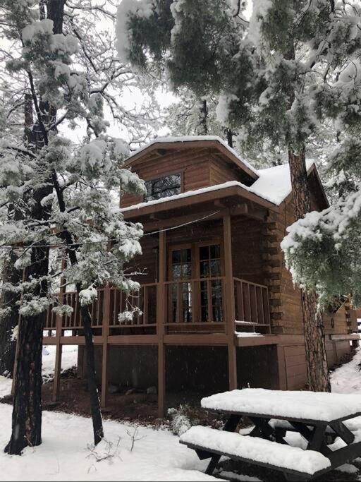 Forest Cabin 2 Birds Nest Payson Bagian luar foto