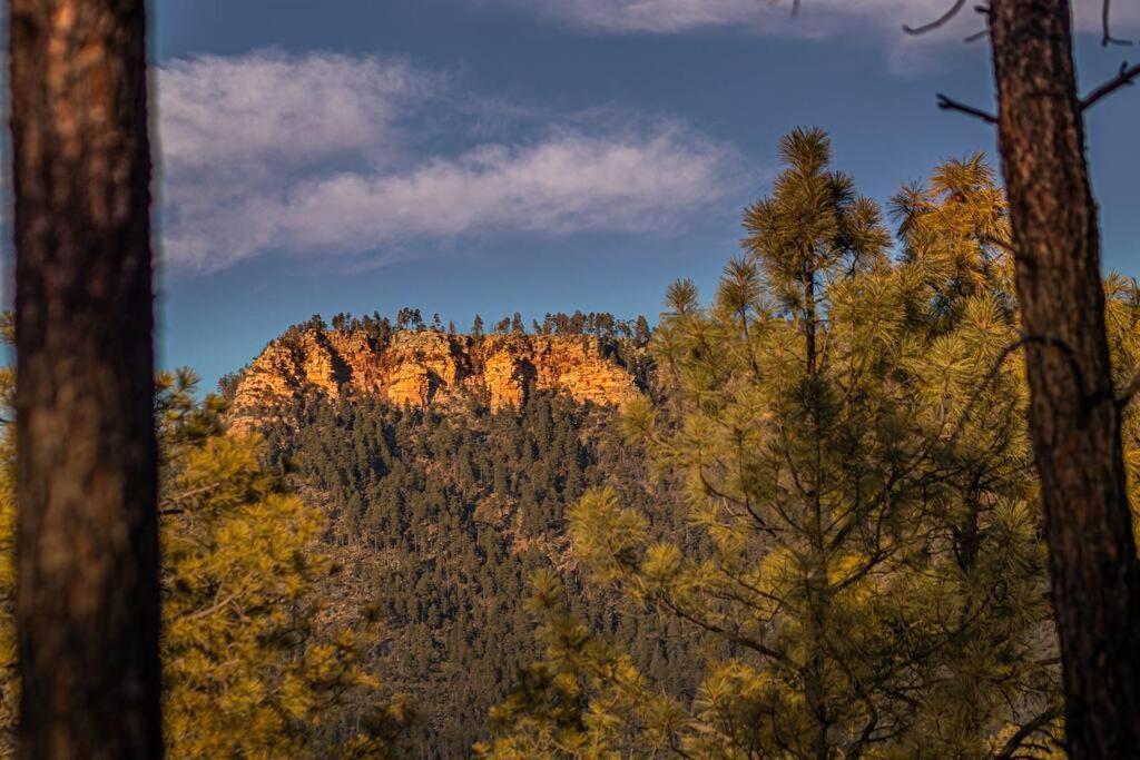 Forest Cabin 2 Birds Nest Payson Bagian luar foto