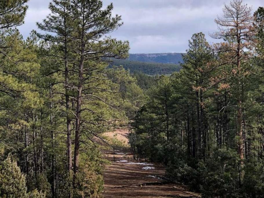 Forest Cabin 2 Birds Nest Payson Bagian luar foto